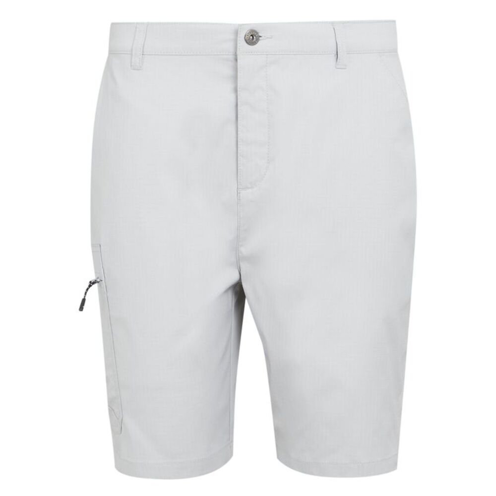 Regatta Mens Dalry Multi Pocket Shorts / Silver Grey